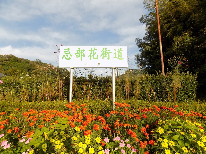 野立看板